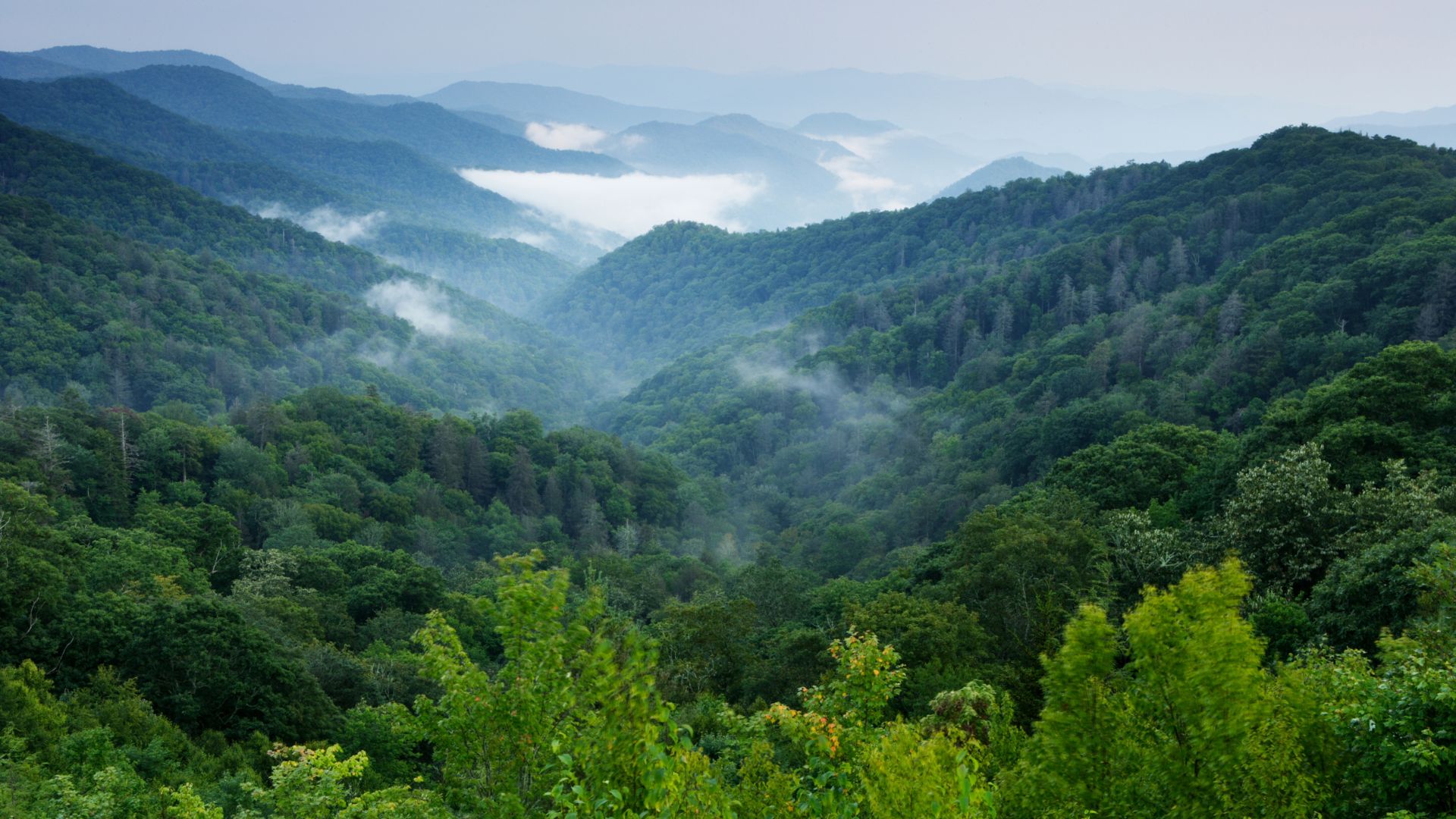 Explore the Enchanting Smoky Mountains in the USA